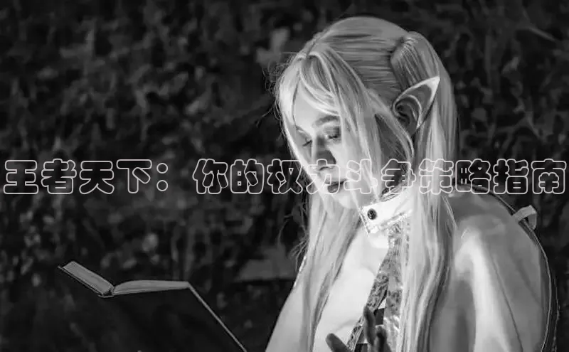 王者天下：你的权力斗争策略指南